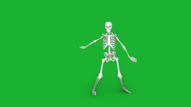 Human skeleton dancing hip hop movements on key green screen backdrop funny halloween or medical concept
