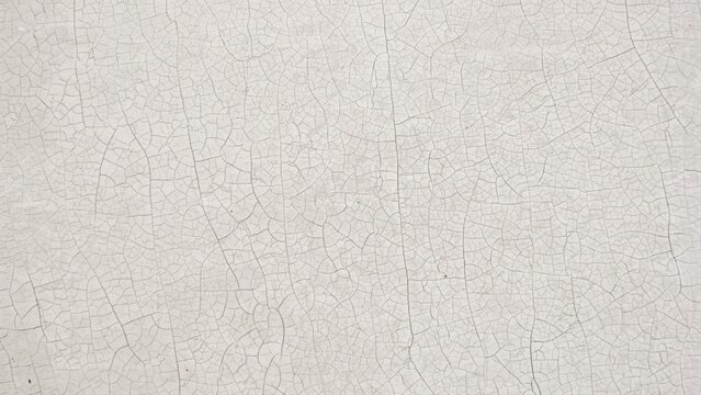 Off-white cracked paint texture with fine network of lines