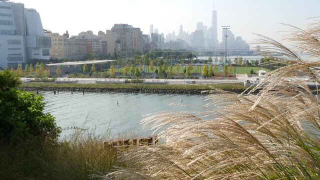 New York City downtown skyline and Little Island pier park in Midtown of Manhattan, United States. Financial district cityscape, world trade center and urban garden oasis on pillars in Chelsea, USA.