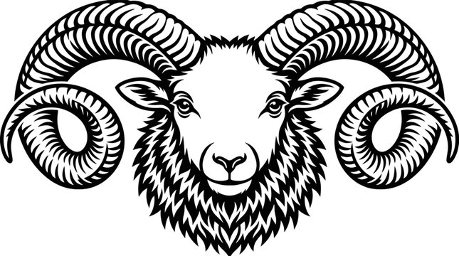 Stylized black and white ram head vector illustration with large curved horns