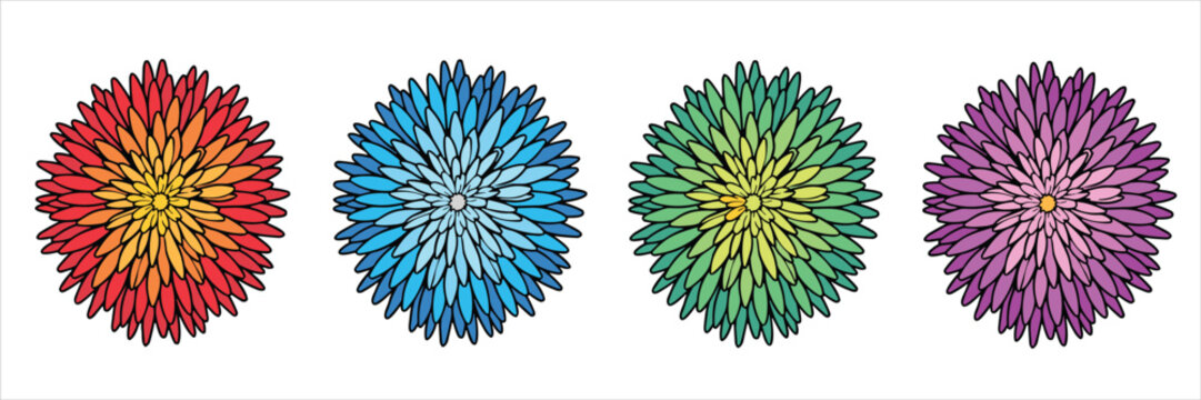 Four stylized circular flower with gradient petals in red, blue, green, and purple