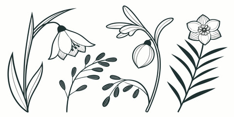 Fototapeta premium Black and white illustration of various flowers and leaves