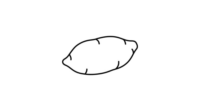 A simple black and white line drawing of a raw sweet potato.