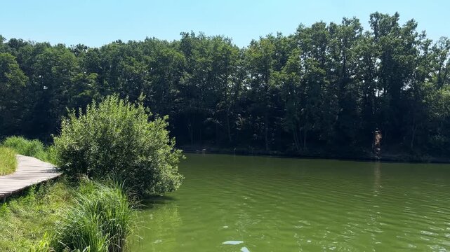 Stunning summer landscape showing a green forest surrounding a calm lake with a wooden boardwalk, where a young man is having fun swinging from a rope and jumping into the water