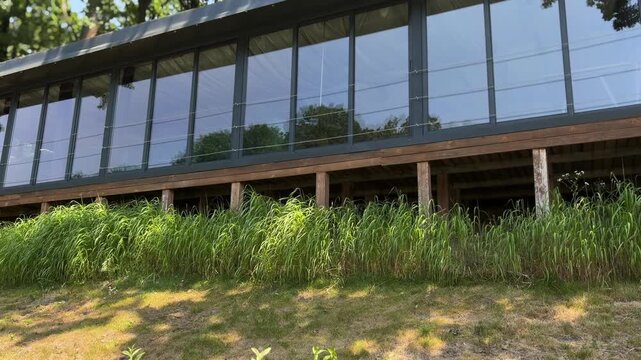 Modern stilt house featuring a sleek glass facade with large panoramic windows reflecting the sky and surrounding trees