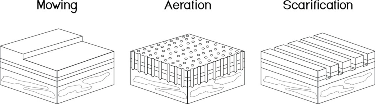 Lawn care procedures: mowing, aeration, and scarification cross section
