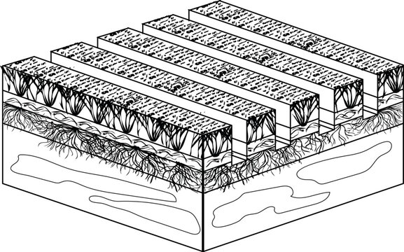 Lawn scarification or dethatching process diagram