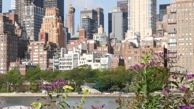 New York City Manhattan Midtown skyline from Roosevelt Island, United States. Red brick buildings architecture, riverside cityscape near East River water, Turtle Bay residential houses, real estate.