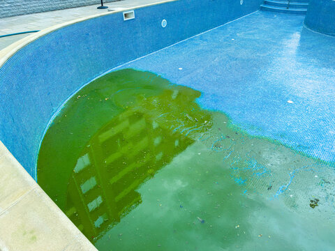 Water in a swimming pool shows green algae growth near a building with a reflection on the surface during daytime