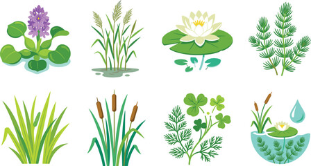 Collection of aquatic plant illustrations featuring wetland vegetation and freshwater ecosystem species © Sheikh