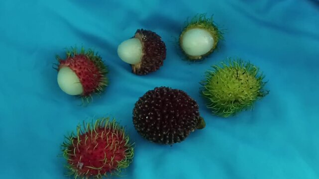 A group of three pulasan fruits (Nephelium mutabile) , Yellow rambutan or Nephelium lappaceum (yellow cultivar) and Red rambutan or bNephelium lappaceum ripening stages, with partially opened fruits r