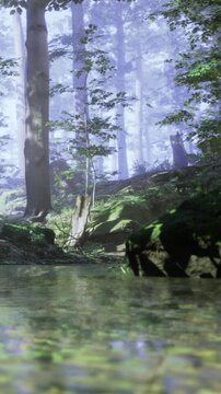 Trees stand tall in a forest area. A clear stream flows gently among rocks and greenery. Soft morning light shines through the leaves, creating a bright atmosphere.