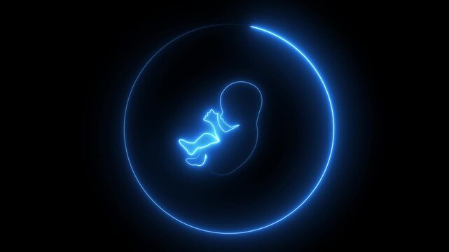 Human Development, and Maternity in a Circular Womb Design on black Background.human child with placenta silhouette isolated on brick wall. Human foetus .