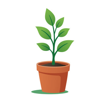 Green plant sapling in a terracotta pot. Flat vector illustration of gardening, nature, and botany concept isolated on a white background.
