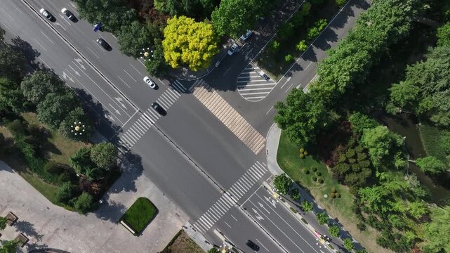 Aerial view of a city road intersection surrounded by lush green trees and traffic flow