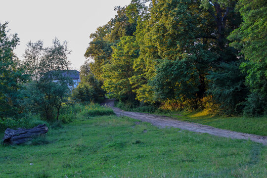 An old dirt road smoothly winds along the edge of mighty green trees in the rays of the evening sun. A fallen ancient log is visible on a cozy meadow, and a rural house hides in the distance behind lu