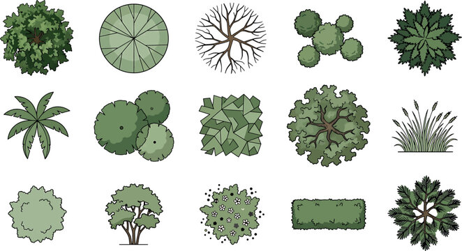 Set of various top view trees, shrubs and plants for architectural landscape design isolated on white background