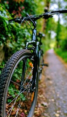 Fototapeta premium Bicycle front wheel and handlebars on forest trail with copy space