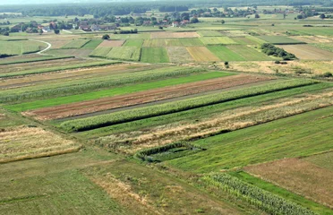 Aerial view of meadows and fields in North Croatia in summertime © zatletic