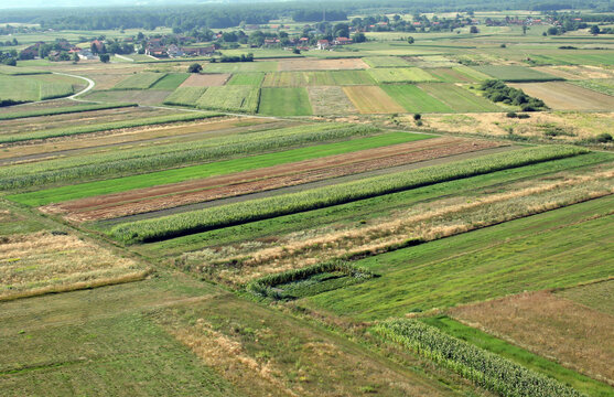 Aerial view of meadows and fields in North Croatia in summertime