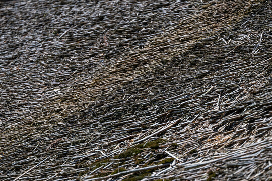 Weathered reed wall texture