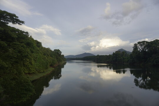 Serene Periyar River flowing through lush tropical forests of Kerala,
A peaceful wide-angle shot of the Periyar River in Kerala, India, surrounded by dense green tropical forests and distant mountains