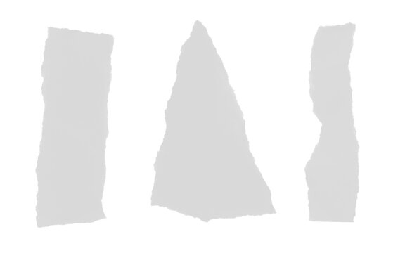 Vertical torn paper fragments including triangular and rectangular shapes with deckle edge detail.