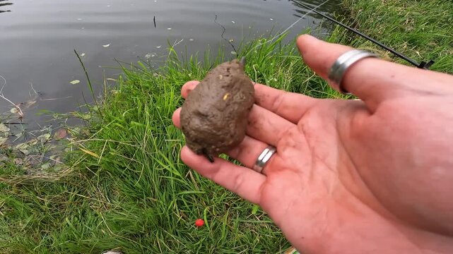 Angler holding groundbait ball for carp fishing by the lake, close up of method feeder bait preparation outdoor