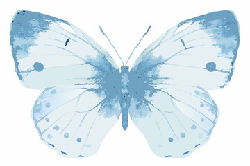 Blue watercolor butterfly illustration with delicate wing patterns and a white background © Shuvra Majumder