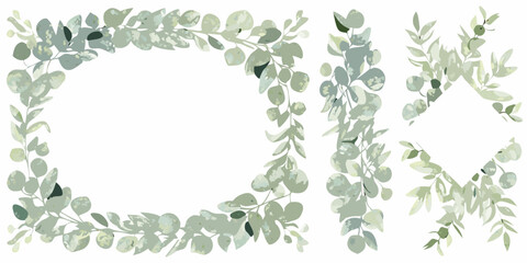 Watercolor eucalyptus leaves form a botanical frame on a white background © Shuvra Majumder