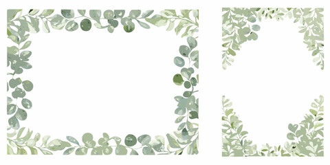 Watercolor eucalyptus frames and borders with rounded leaves on a white background © Shuvra Majumder