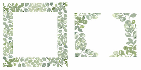 Watercolor eucalyptus frame and border elements on a white background © Shuvra Majumder