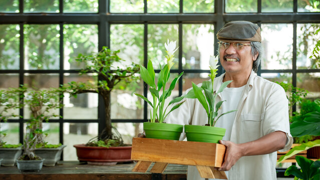 Smiling older adult enjoying houseplants in a natural home environment promoting green living wellbeing retirement lifestyle and everyday happiness. 