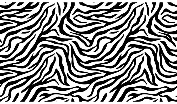 Modern Zebra Stripe Seamless Pattern Black and White Vector Background