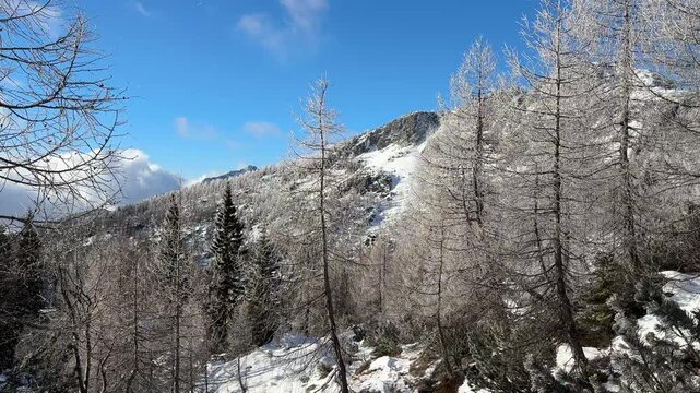 Hiking to Debela pec peak in SLovenia