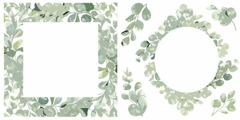 Watercolor eucalyptus leaf frames on a white background botanical illustration set © Anik