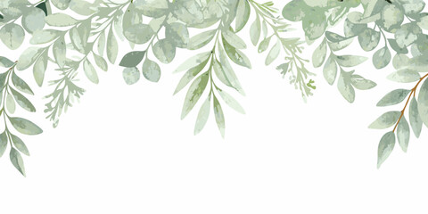 Watercolor botanical header with eucalyptus leaves and a white background © Anik