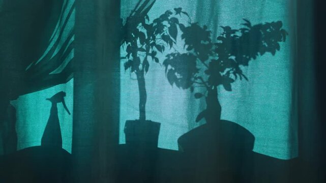 Shadow silhouette of plants on a window screen. Beautiful turquoise and emerald color grading with a clear outline of home greenery and spray bottle leaves.