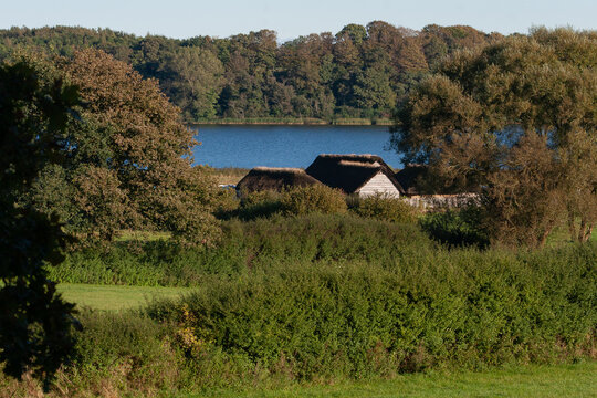 Hedeby