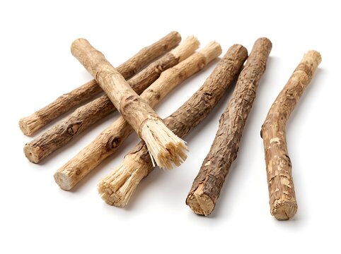 Natural organic miswak sticks for dental teeth cleaning