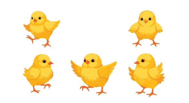 Collection of five cute yellow fluffy baby chicks in different poses like walking, standing, and chirping on a plain white background.