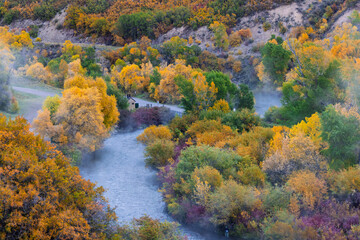Naklejka premium Autumn river flowing through colorful vibrant fall foliage with fog in Utah