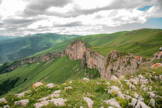 mountain meadow with flowers