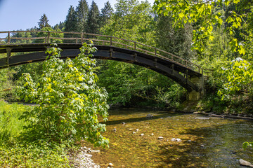 Fototapeta premium Wooden bridge in the Black Forest, the Wutach Gorge Germany