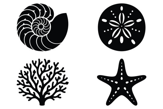 Black and White Illustrations of Ocean Shells and Marine Life Elements