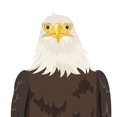 Fototapeta premium PNG bald eagle face illustration, bird sticker, USA symbol, transparent background