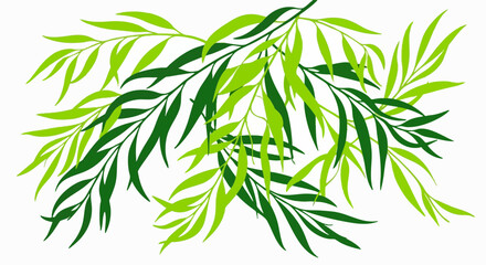 Fototapeta premium Green willow leaf branches illustration on white background