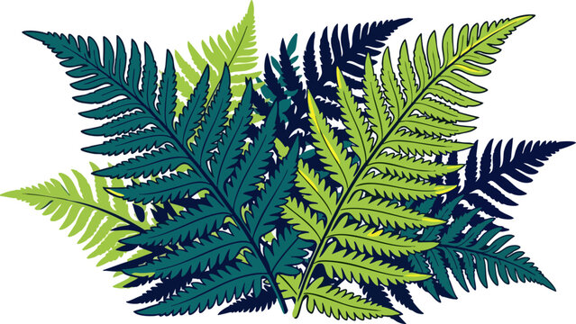 Stylized Green and Navy Fern Leaves Vector Illustration Isolated