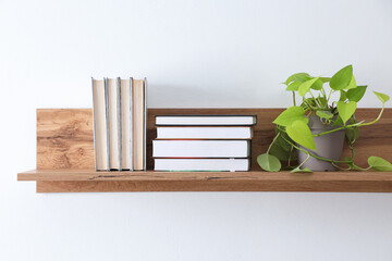 Many hardcover books and houseplant on shelf near white wall indoors