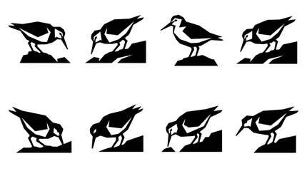 Shorebird Silhouette Collection: Various Poses on Rocks and Ground © varla